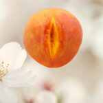 Comment avoir du désir sexuel